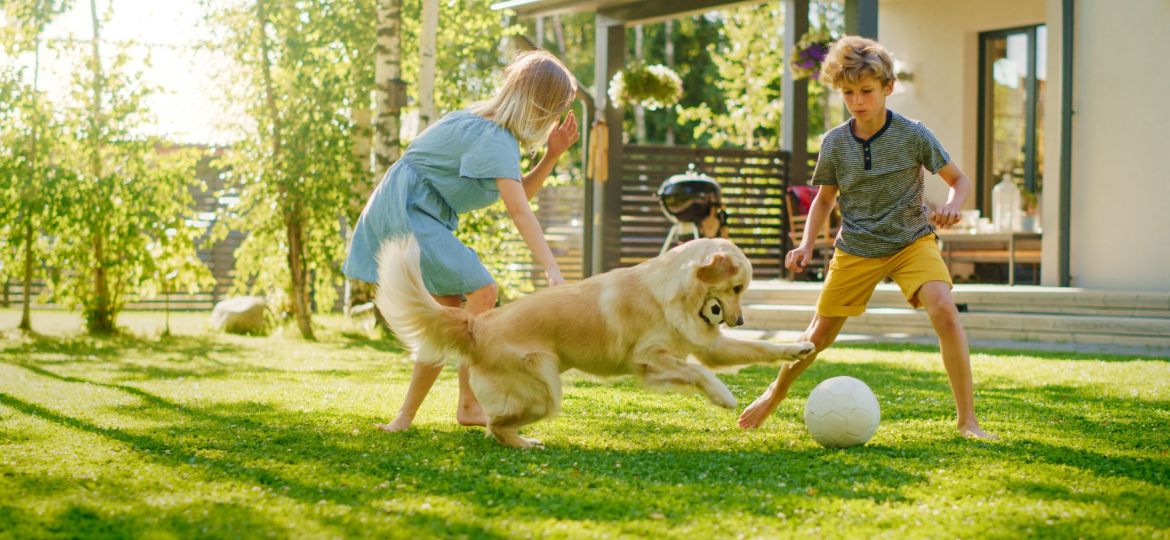 a boy and girl child playing with a dog outside with a soccer ball