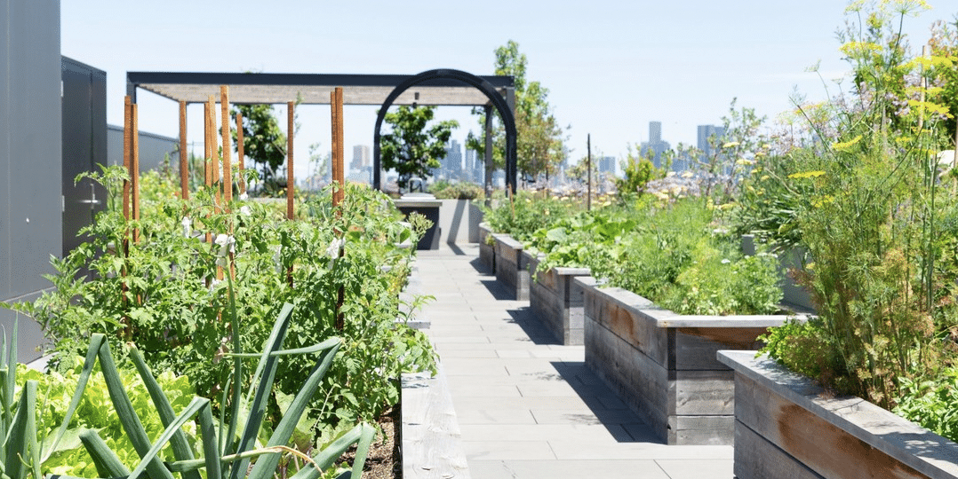 Screen Shot 2023-08-04 at 12.47.13 pm