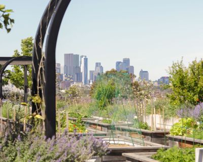 Rooftop Veggie Plots-1