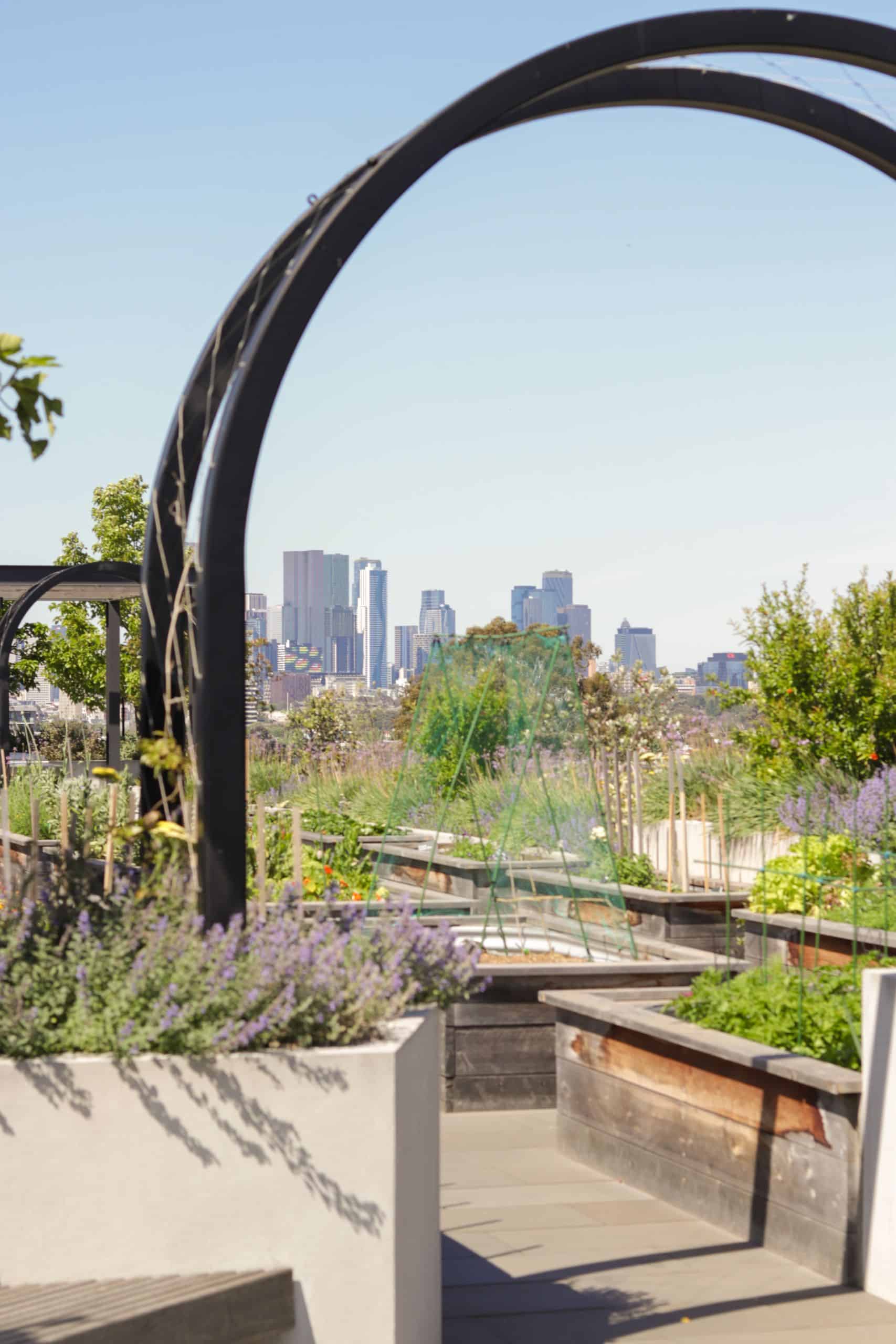 Rooftop Veggie Plots-1