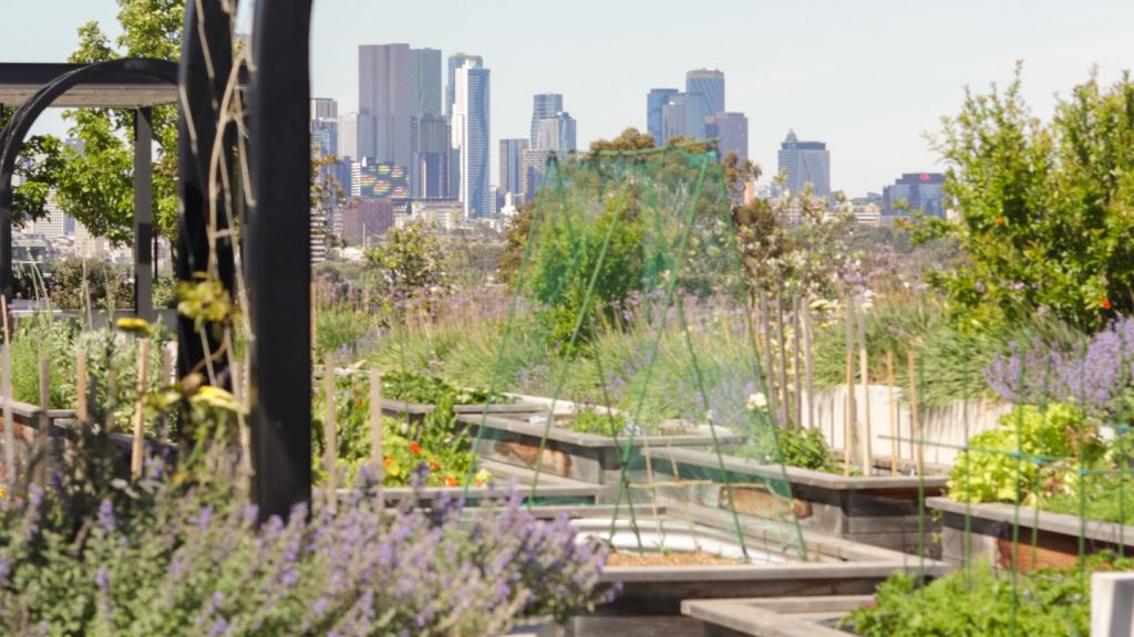 East Brunswick Village Rooftop Garden